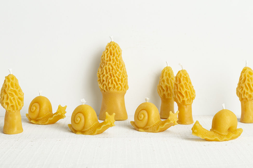 Beeswax Snail Candle