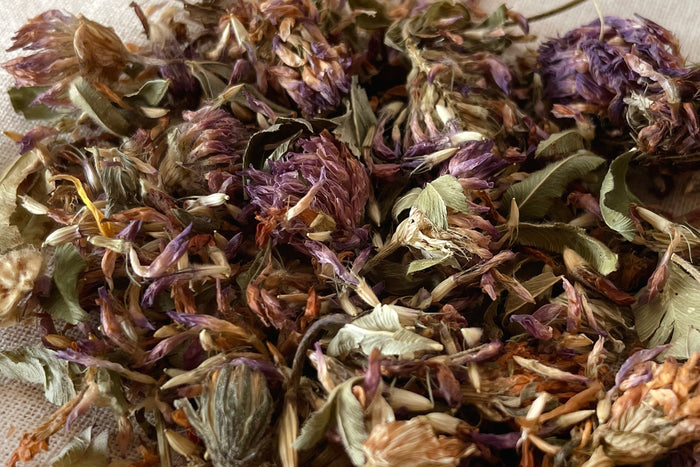 Dried Flowers + Bulk Herbs