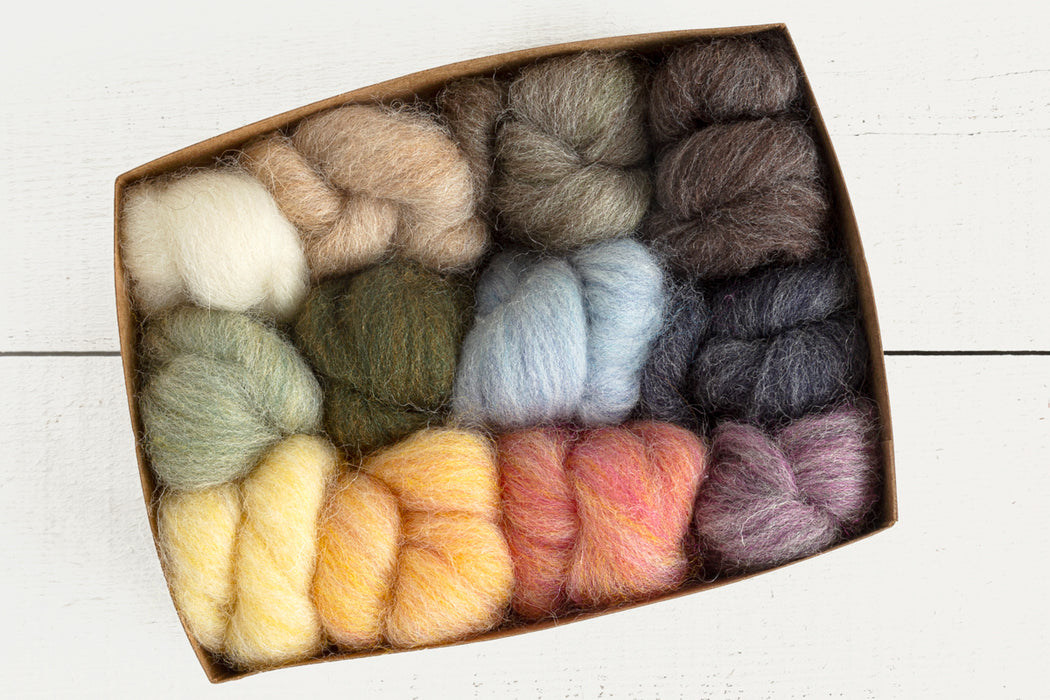 Wool Roving Starter Set