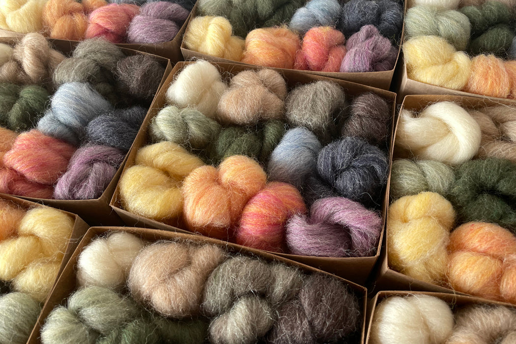 Wool Roving Starter Set