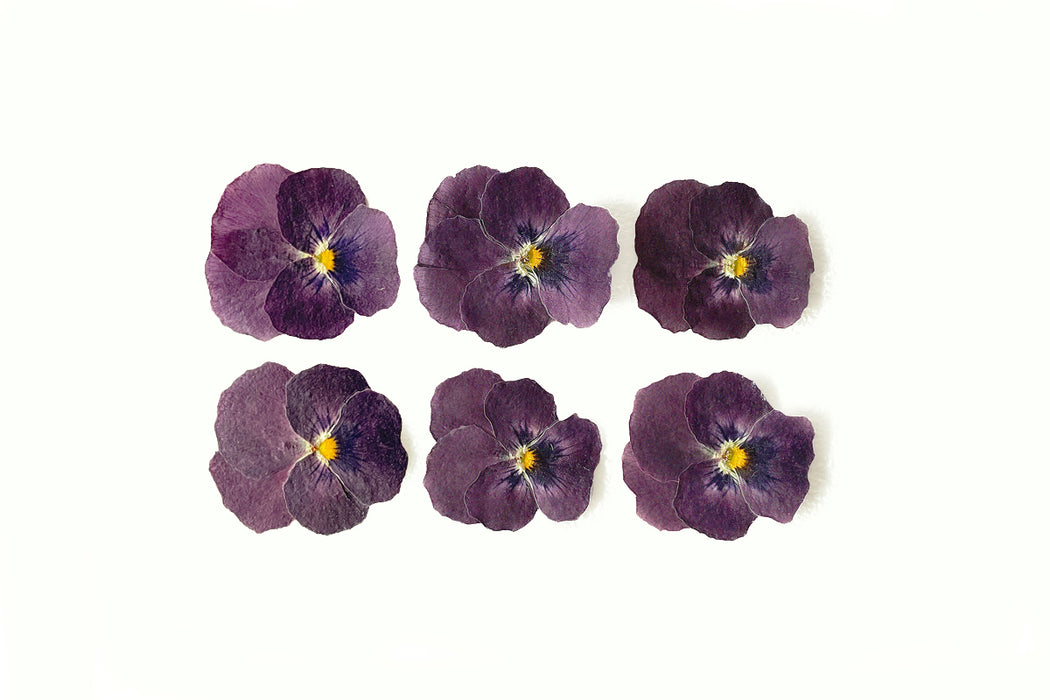 Dried Pressed Pansies (Purple)