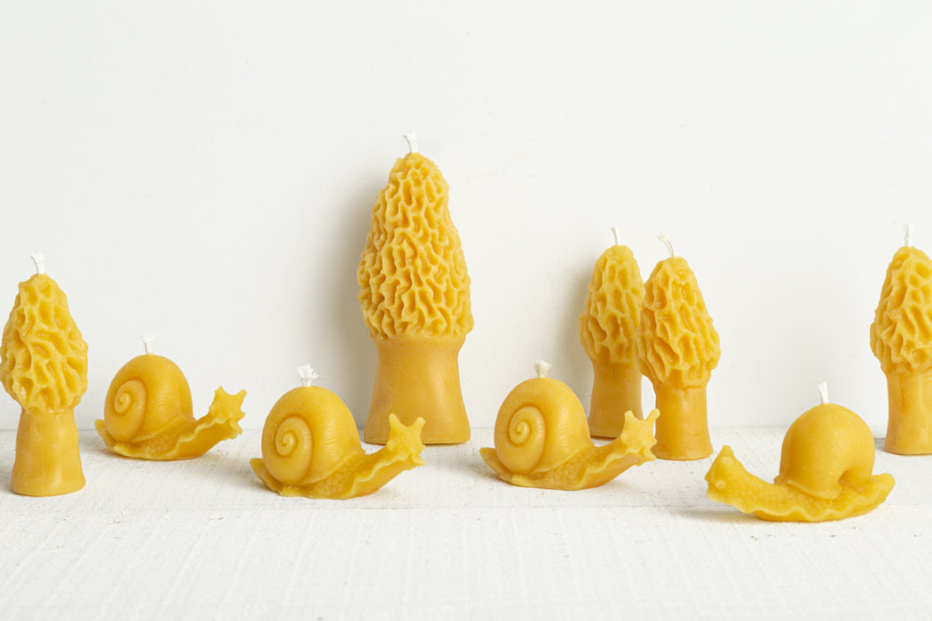 Beeswax Morel Mushroom Candle