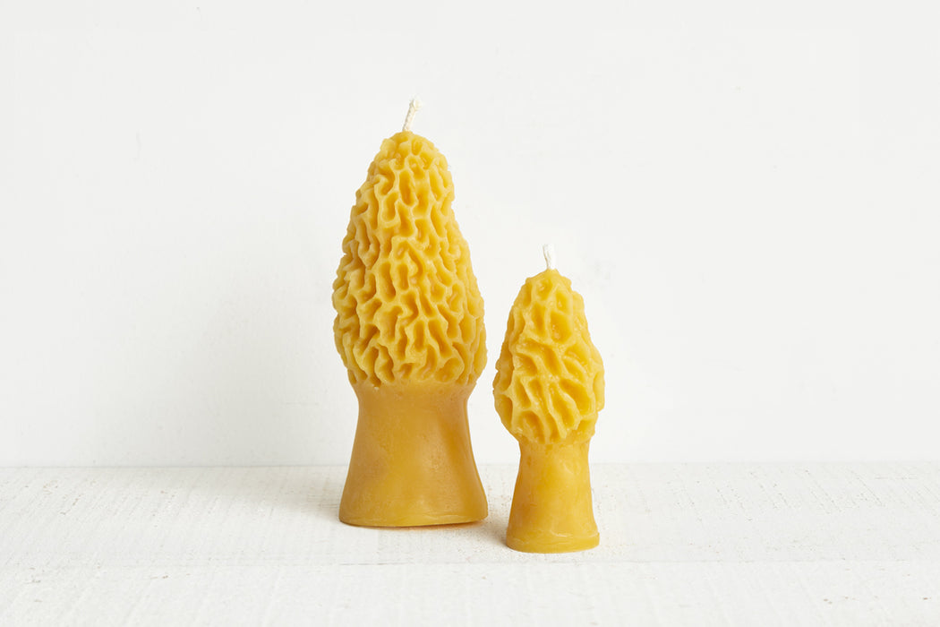 Beeswax Morel Mushroom Candle