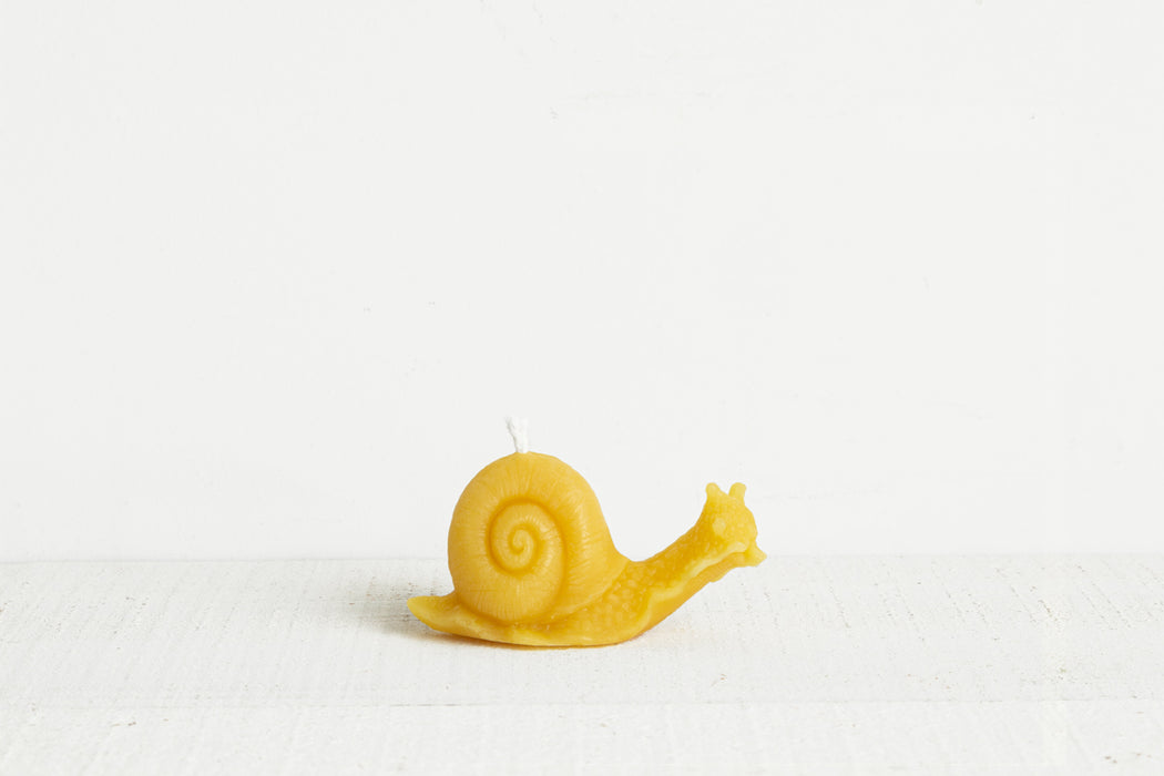 Beeswax Snail Candle