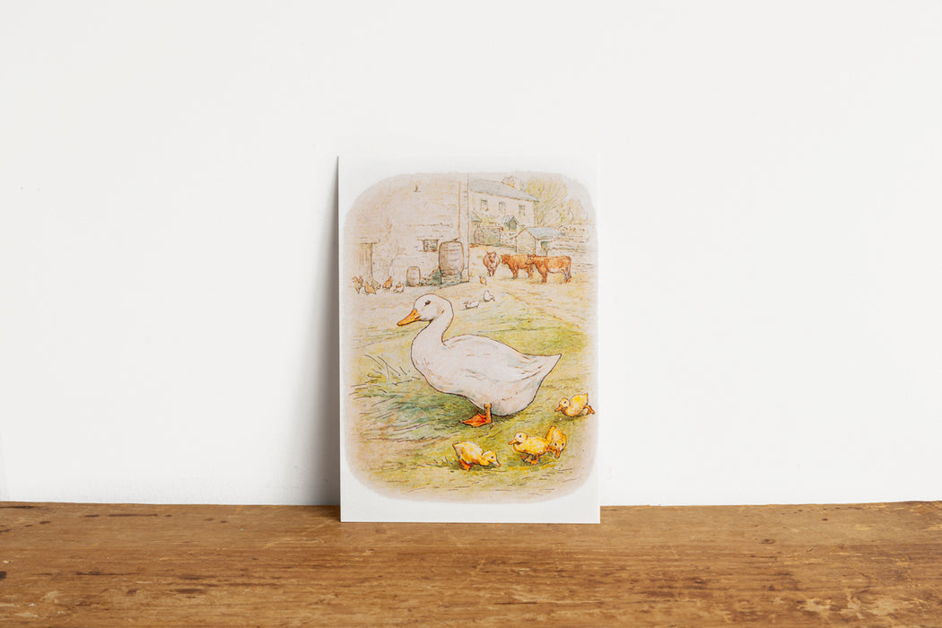 Beatrix Potter Duck and Ducklings Postcard