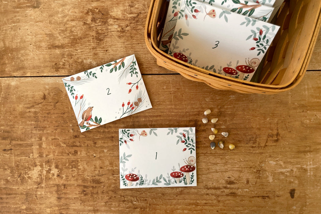wildflower seed advent calendar Seed Packet Advent Calendar (Digital Download)