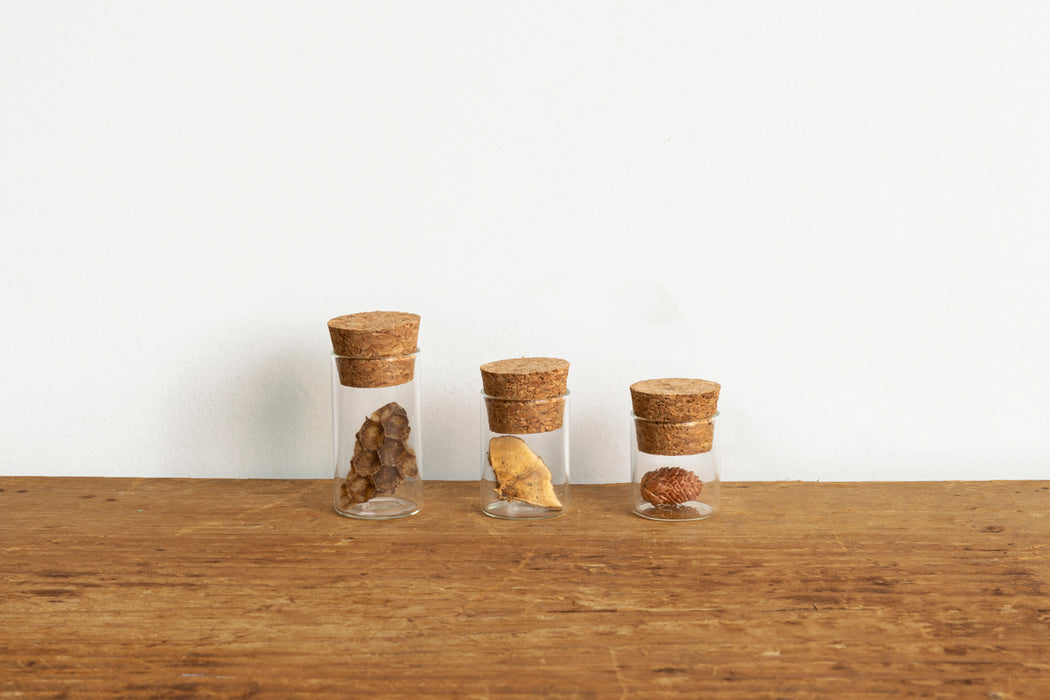 Glass Specimen Bottles With Cork